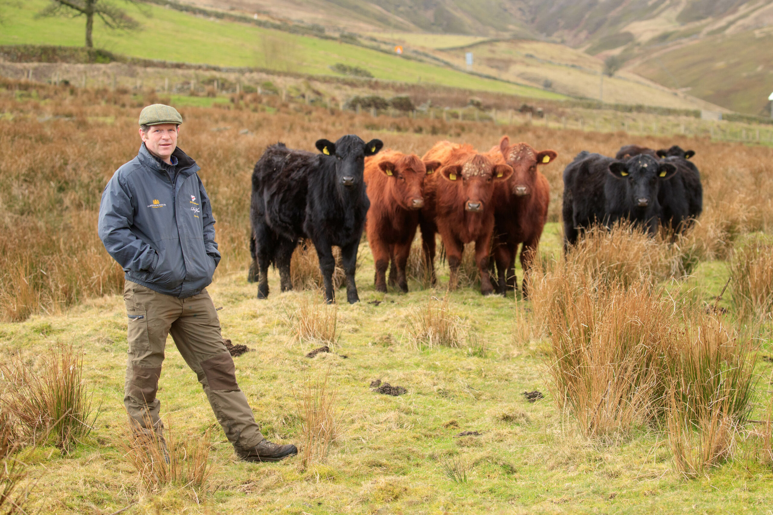 Thumbnail for the post titled: How the PEF will help farmers and the environment