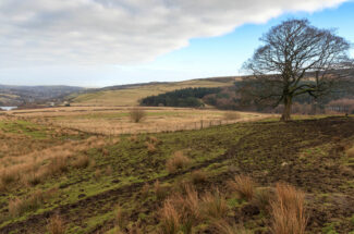 Thumbnail for the post titled: Peak District farmers join forces for conservation